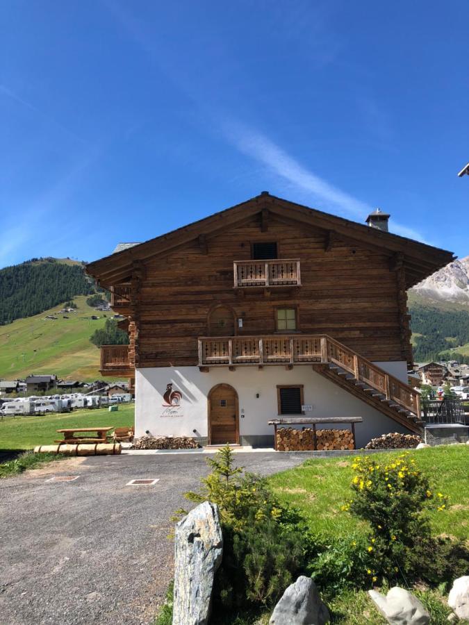 Chalet Remi-Stella Alpina 利维尼奥 外观 照片